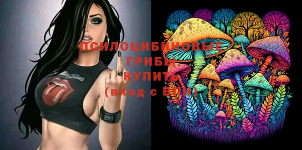 молекула духа Михайловка