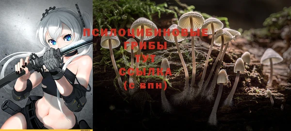 молекула духа Михайловка