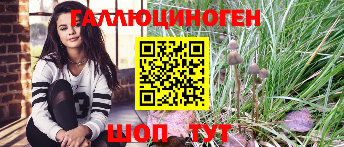 Псилоцибиновые грибы Cubensis  Галлюциногенные грибы мицелий  Вход с VPN  Самара 